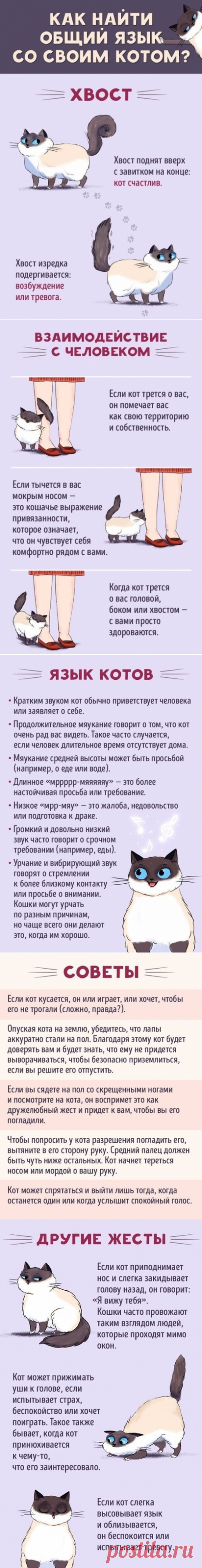 (19) Одноклассники