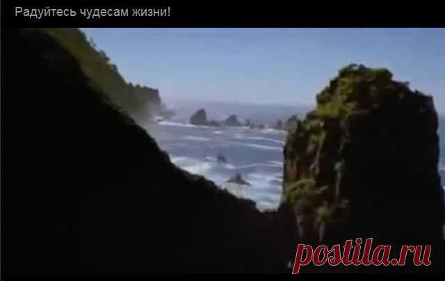 Радуйтесь чудесам жизни! ... (много жизнеутверждающих видео)