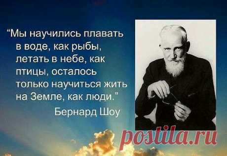 (46) Одноклассники