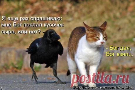(1) ВЕДОВСКАЯ КНИГА