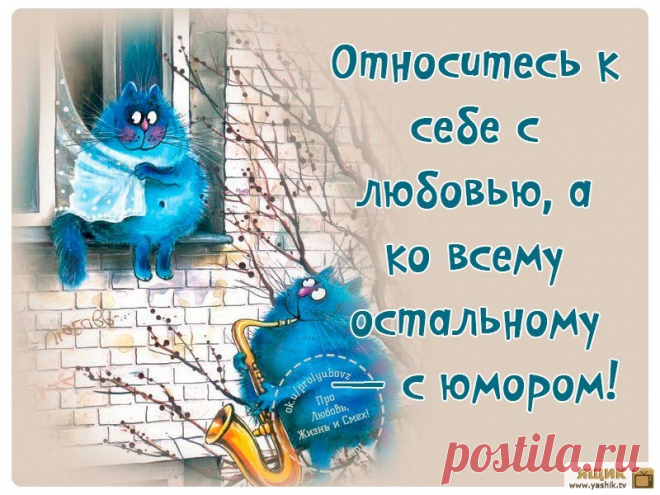 Про любовь жизнь и смех! / Картинки: Приколы