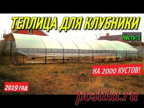 ТЕПЛИЦА ДЛЯ КЛУБНИКИ-2019г/Теплица своими руками на 2000 кустов клубники.