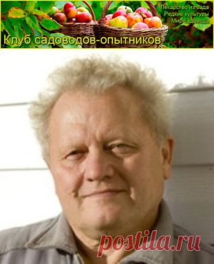 Распопов Геннадий Фёдорович, садовод-испытатель из Новгородской области, публикации - Сады Сибири