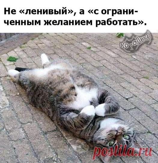 700669a8.jpg (526×540)