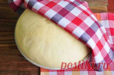 Тесто для приготовления очень вкусных вареников и пельменей