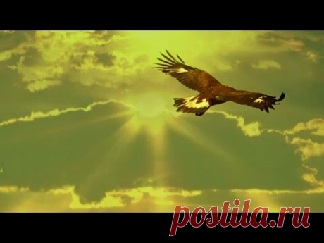 Leo Rojas - El Condor Pasa - Matsuri