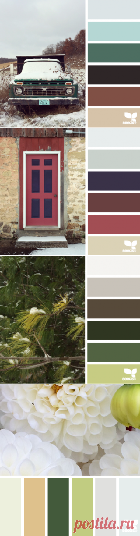design seeds | for all who ♥ color