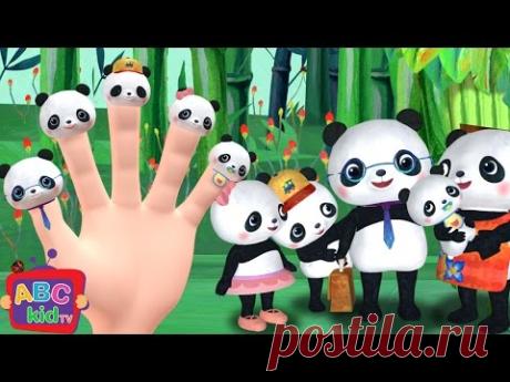 Finger Family (Panda Version) | CoComelon Nursery Rhymes & Kids Songs