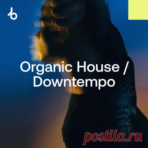 Beatport Amsterdam Dance Event 2024 Organic House - 320KBPSHOUSE.NET ARTIST: Various RELEASE TITLE: Beatport Amsterdam Dance Event 2024 Organic House GENRES:Organic House / Downtempo QUALITY: MP3 320kbps CBR 44.1 kHz PRIVATE DOWNLOAD HOUSEBOX FILECAT 19 TRACKS: Amonita – Amulet (Original Mix) 8:56 AtalaiA – Strawberry Blonde (Original Mix) 6:05 Audiotones, Ranta – Riverside (Original Mix) 7:38 Budakid – Promised (Original Mix) 6:55 DIM KELLY, […]