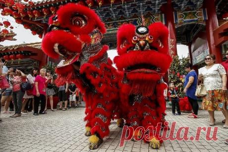 До свидания, Крыса, здравствуй, Бык: в Китае встречают Новый год по лунному календарю | В мире