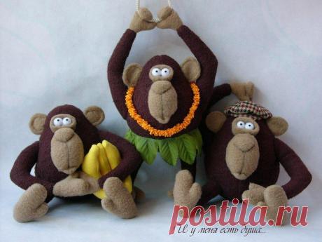 Елена Сидоренко