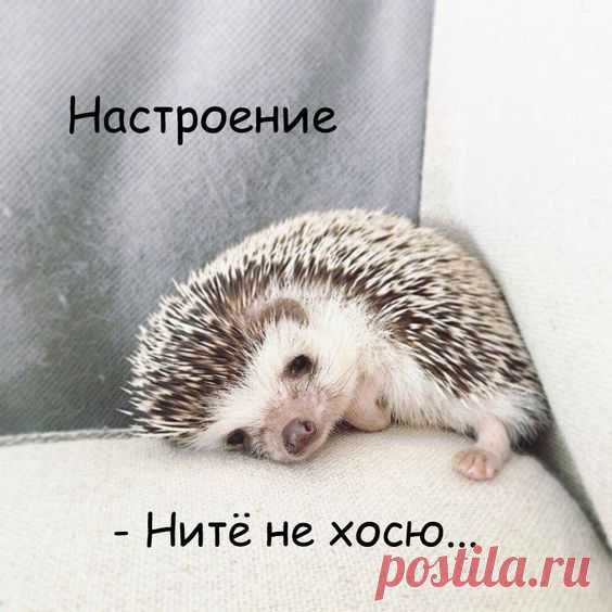 (134) Pinterest