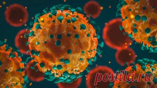 Врач Александр Кухарчук рассказывает, как защититься от коронавируса: что купить, что применять. ПРОЧТИТЕ ПОЛНОСТЬЮ и ПОДЕЛИТЕСЬ СО ВСЕМИ, кто вам дорог
Сразу скажу, что рекомендаций не будет. Потому что их нет нигде. Я проработал огромный объем информации, обсуждал тему с моими друзьями-коллегами из Китая, Италии, Южной Кореи, Сингапура, США, Швейцарии, Франции, России и Германии... и в этом посте даю вам квит-эссенцию результатов моего поиска (еще раз, это – не рекоменда...