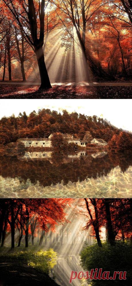 Прекрасные осенние пейзажи от нидерландского фотографа Ларса ван де Гора.Ларс ван де Гор (Lars van de Goor) - нидерландский фотограф-пейзажист. Он стал одним из финалистов фотоконкурса Hasselblad Masters Award 2012