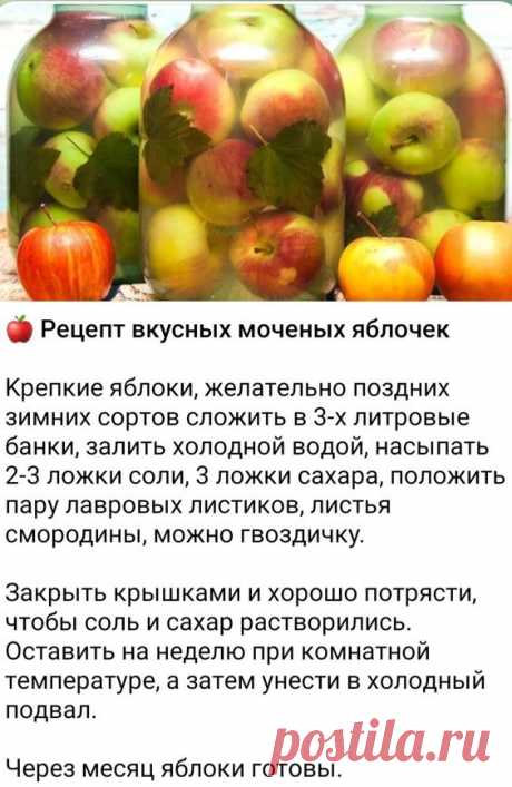 моченые яблоки