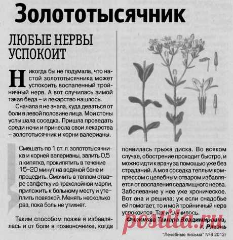 Золототысячник успокоит воспаленный нерв