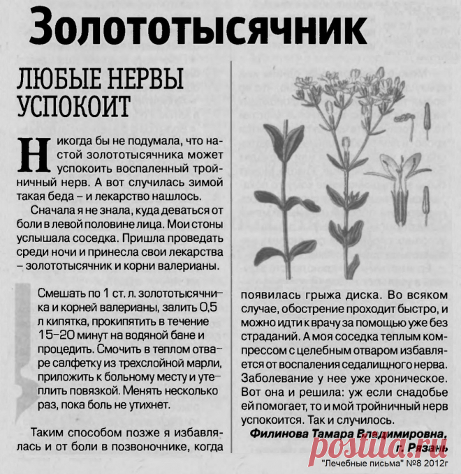 Золототысячник успокоит воспаленный нерв