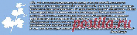 форум-виноград - Альбом Victor Motruc: Manicure Finger 3-й альбом