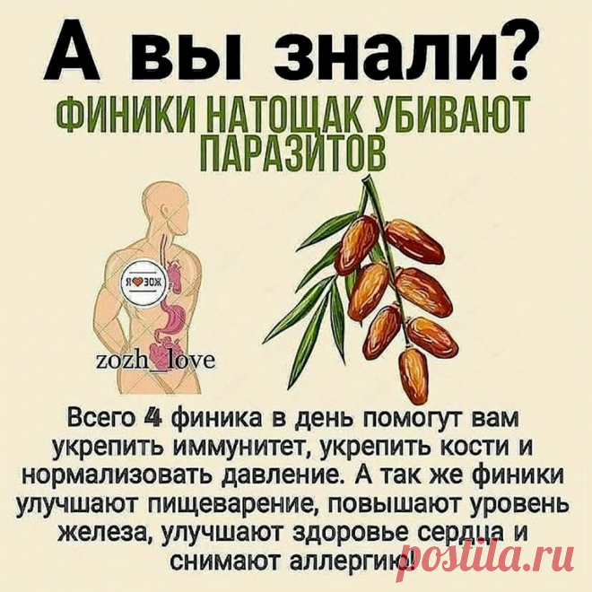 Финики - польза для здоровья