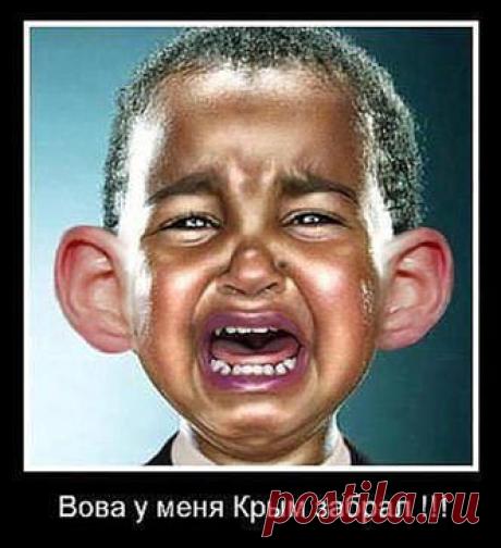 Украинцы, приехавшие в Крым, кусают локти: «Почему нас Путин не забрал?» | Зарубежная пресса