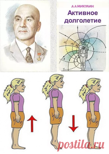 Без заголовка