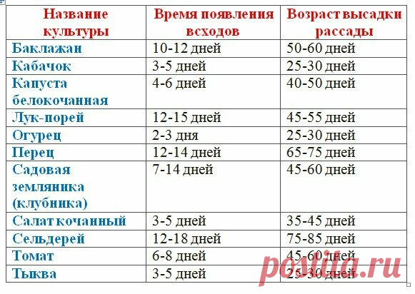 ღПолезная табличка для дачников: что и в какие сроки сажать на рассаду?