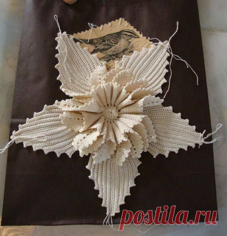 (45) Imbi Liiwand