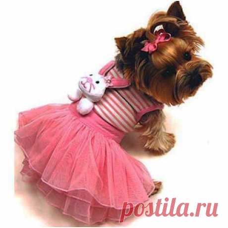 Модники и модницы. Подборка фоток № 25
