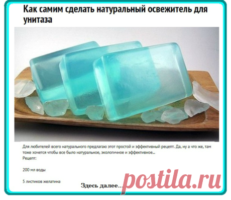 Дневник Любознательная