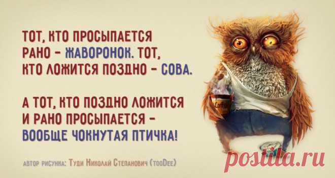 Чокнутая птичка