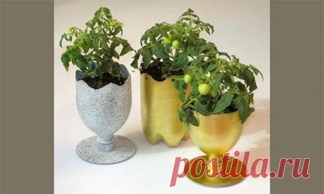 Из пластиковых бутылок.                 Работа в интернете для студентов,пенсионеров,мам в декрете и всех,у кого есть свободных 2-3 часа в день.Без вложения денег.Без продаж. Дополнительная информация yspeshnayya.blogspot.com