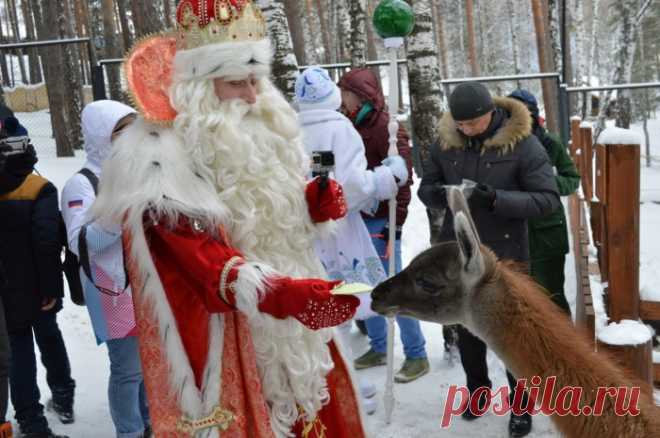 Дед Мороз из Великого Устюга приехал в Красноярск