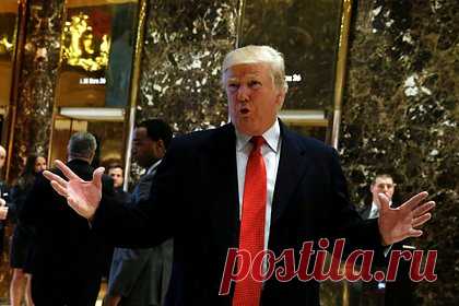Стало известно о панике Киева из-за предупреждения Трампа