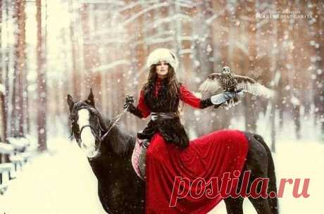 (5) Elifce Örgüler