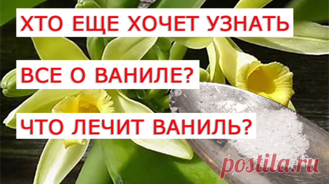 При слове «ваниль», сразу вспоминается белоснежный сладкий порошок, для приготовления вкусной и ароматной выпечки, присутствующий в каждой кухне. Оказывается, что это не совсем ваниль, а лишь ее «жалкая копия» - искусственный заменитель ‒ ванилин. Натуральная, природная ваниль невероятно дорогая приправа, стоимость которой нередко сравнивают со стоимостью золота или бриллиантов. Кроме того она обладает лечебными и омолаживающими свойствами. Поэтому, если Вам «посчастливиться» увидеть дешевый