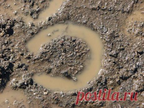 Народные приметы: 27 октября - Погода на Joinfo.ua