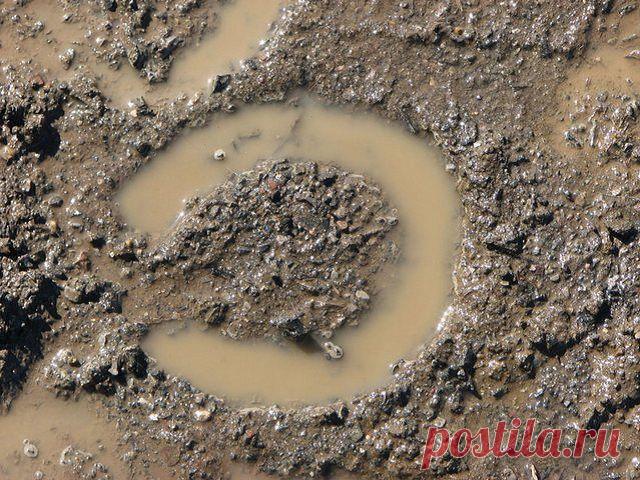 Народные приметы: 27 октября - Погода на Joinfo.ua