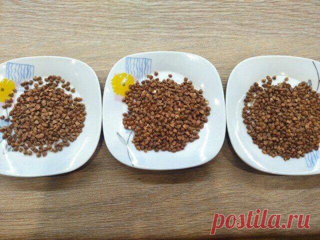 Даже гречка может быть опасна – если она китайская. Но как ее отличить от русской - три признака