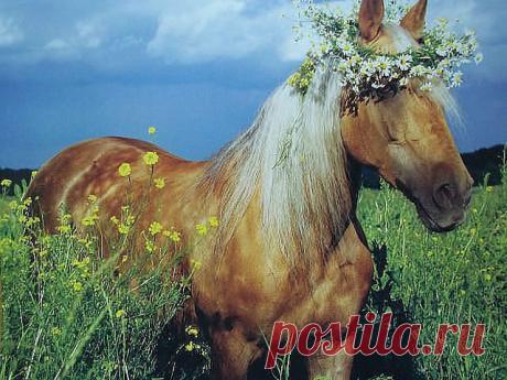 Мой Мир@Mail.Ru
