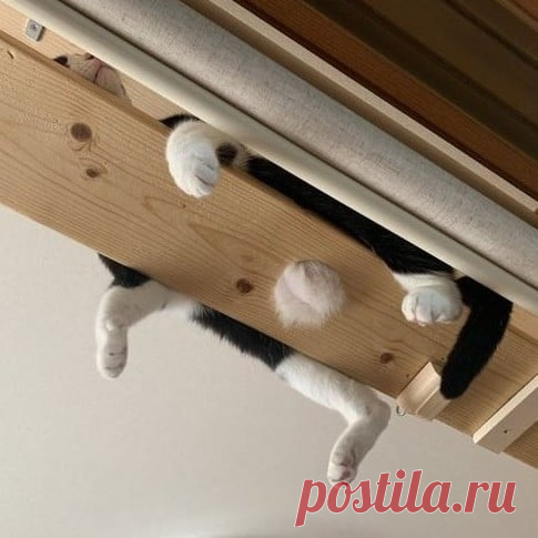 (20+) Facebook