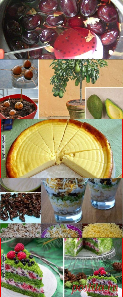 Кулинарные рецепты