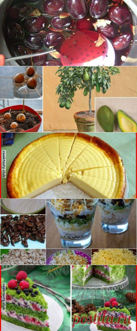 Кулинарные рецепты