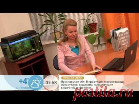Визитница своими руками - YouTube
