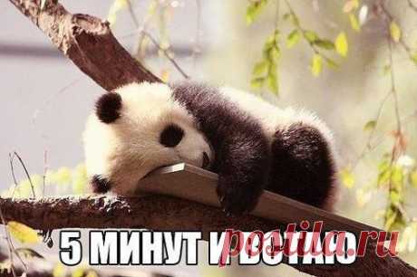 Доброе утро :)