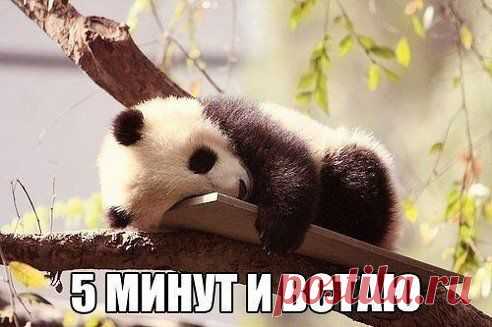 Доброе утро :)