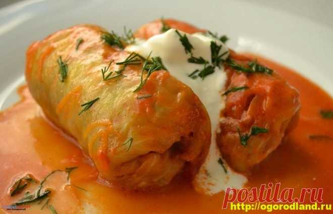 Как приготовить голубцы в капустных листьях с мясным фаршем
