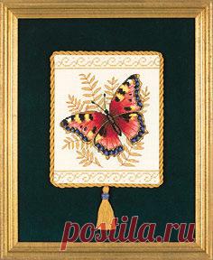 Gallery.ru / Фото #69 - ПЕРНАТЫЕ БАБОЧКИ - Fleur55555