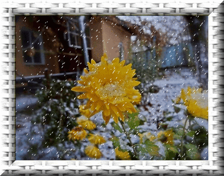 176743563_875ebcdd893da48ed15ad7edf60df3aa_800.gif (742×582)