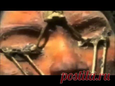 Миссия Аполлон-20, корабль пришельцев, мёртвая инопланетянка. - YouTube