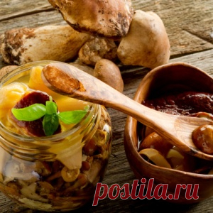 Рецепты приготовления опят
